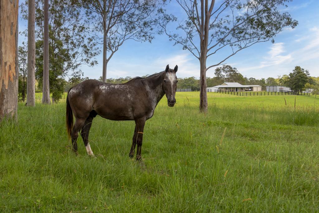 240 Keefton Rd, Woondum, QLD 4570