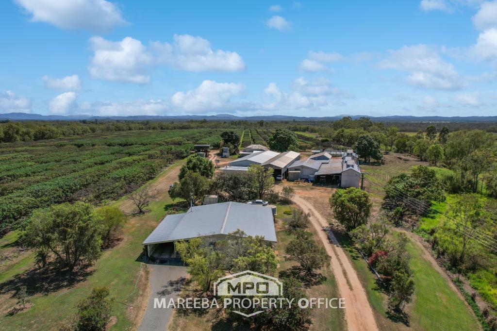 44 Carman Road, Paddy'S Green, Mareeba, QLD 4880