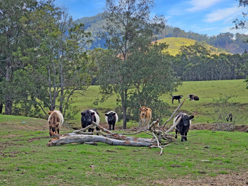 1282 Waukivory Road, Waukivory Via, Gloucester, NSW 2422