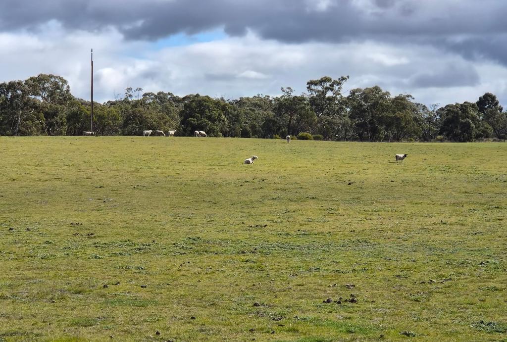 1599 Bangham Rd, Bangham, SA 5268