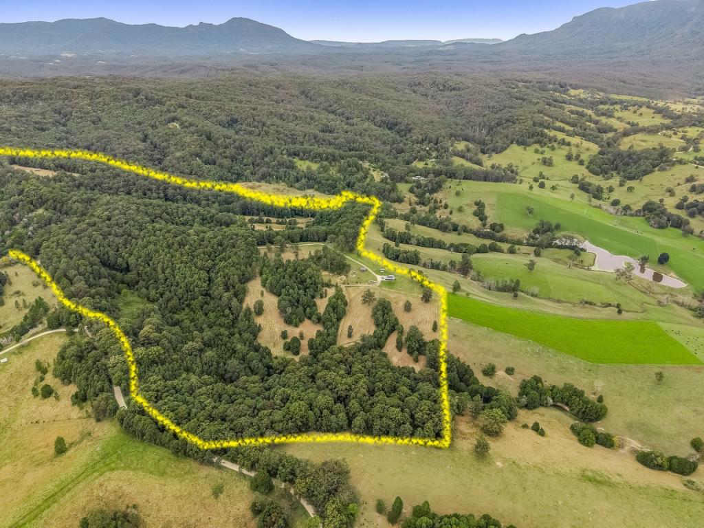 1475 Byrrill Creek Rd, Brays Creek, NSW 2484