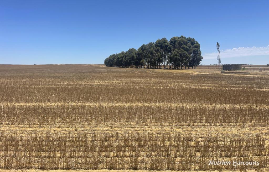 "Carot Well" Longman Rd, Watheroo, WA 6513