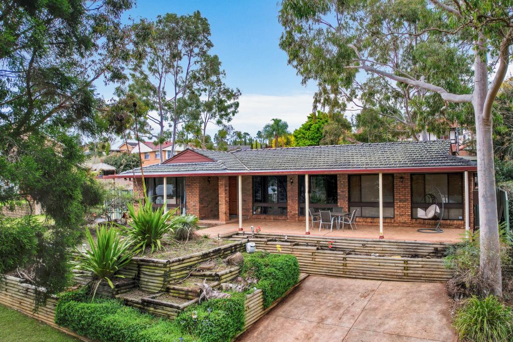 11 Appaloosa Cct, Blairmount, NSW 2559