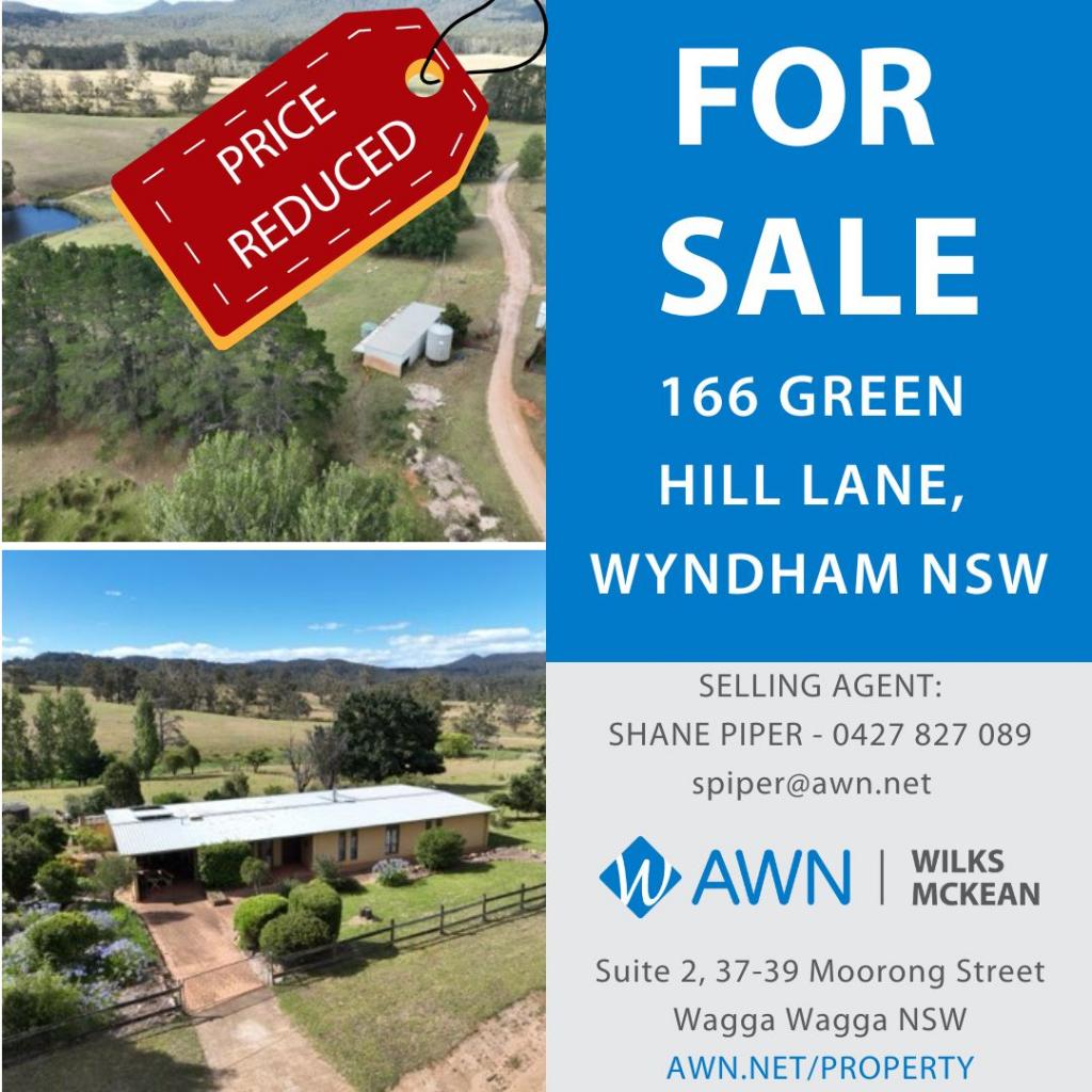 166 Green Hill Lane, Wyndham, NSW 2550