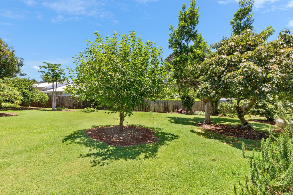 41 Licuala Dr, Tamborine Mountain, QLD 4272