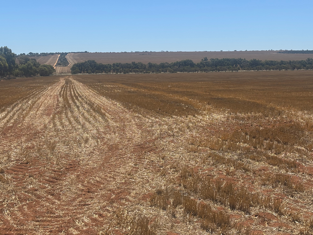 727 Tenindewa Rd N, Tenindewa, WA 6632