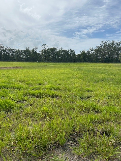 Contact Agent For Address, D'Aguilar, QLD 4514