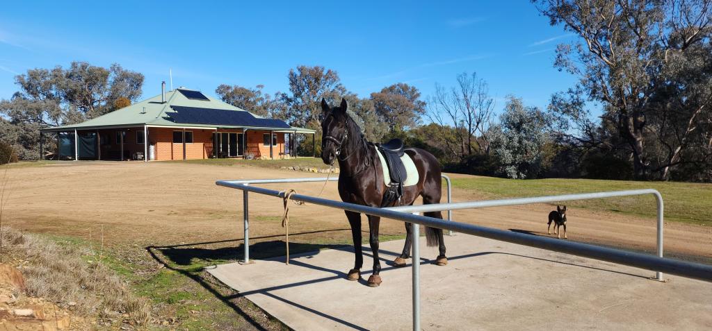 13407 Hume Hwy, Woomargama, NSW 2644