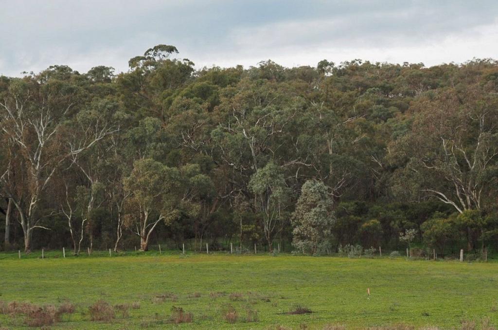 Lot 9/60 Caldwell St, Heathcote, VIC 3523