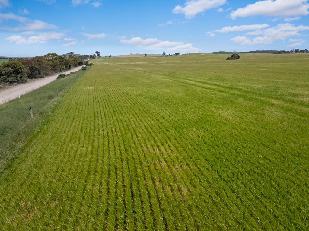 'Marshalls' Ngapala Rd, Julia, SA 5374