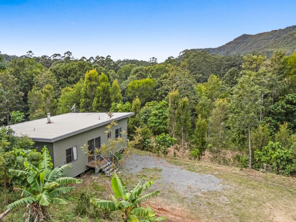 215 MOUNT BURRELL RD, MOUNT BURRELL, NSW 2484