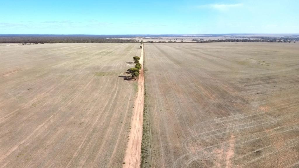 3515 CALZONI RD, HOLLETON, WA 6426