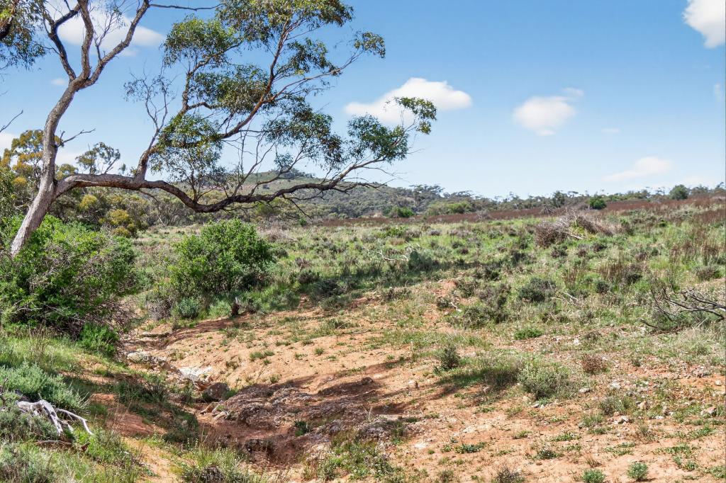 'Ferguson' Philps Rd, Minvalara, SA 5422