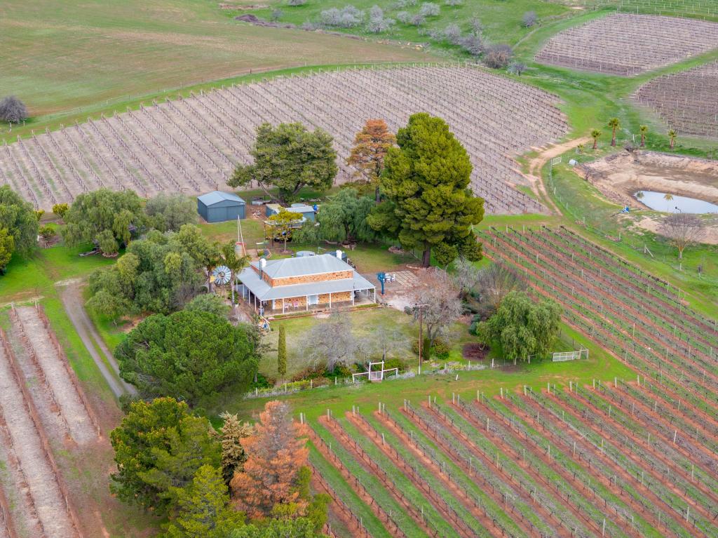 137 Emu Rock Rd, Armagh, SA 5453