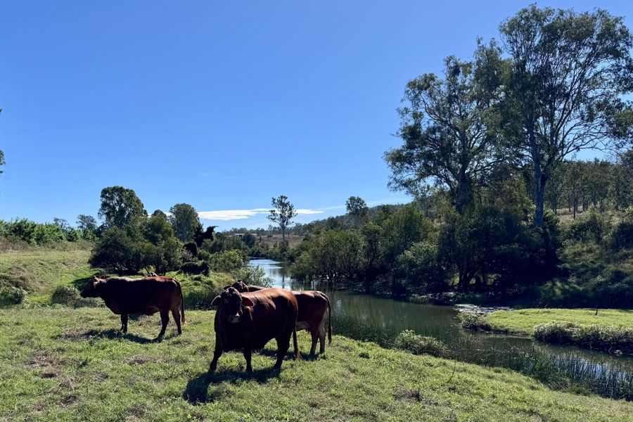 479 Bular Rd, Kilkivan, QLD 4600