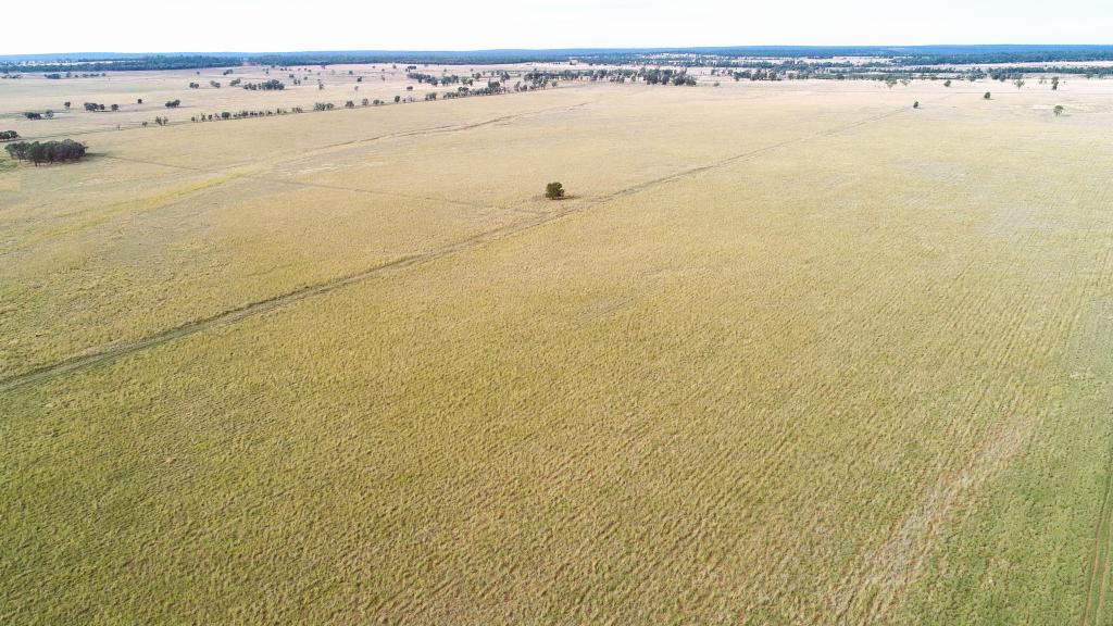 'THE HAVEN' 1164 MOORES BICE RD, DRILLHAM, QLD 4424