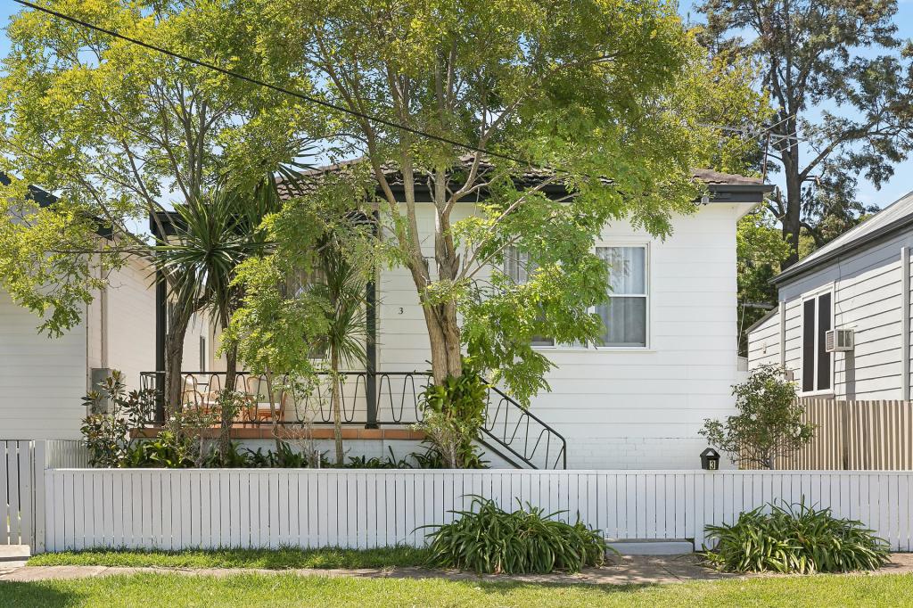3 Winchester St, Mayfield, NSW 2304
