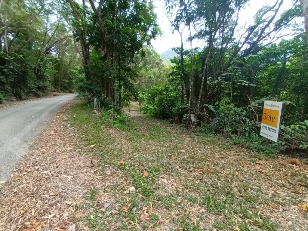 Lot 45 Ronald Road, Forest Creek, Daintree, QLD 4873