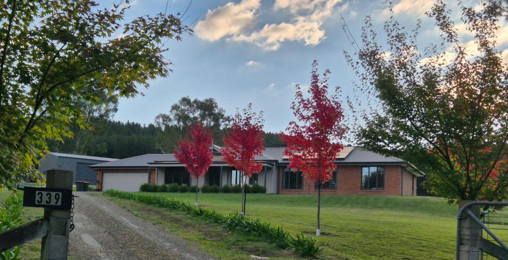 339 MYRTLEFORD-STANLEY RD, MUDGEGONGA, VIC 3737
