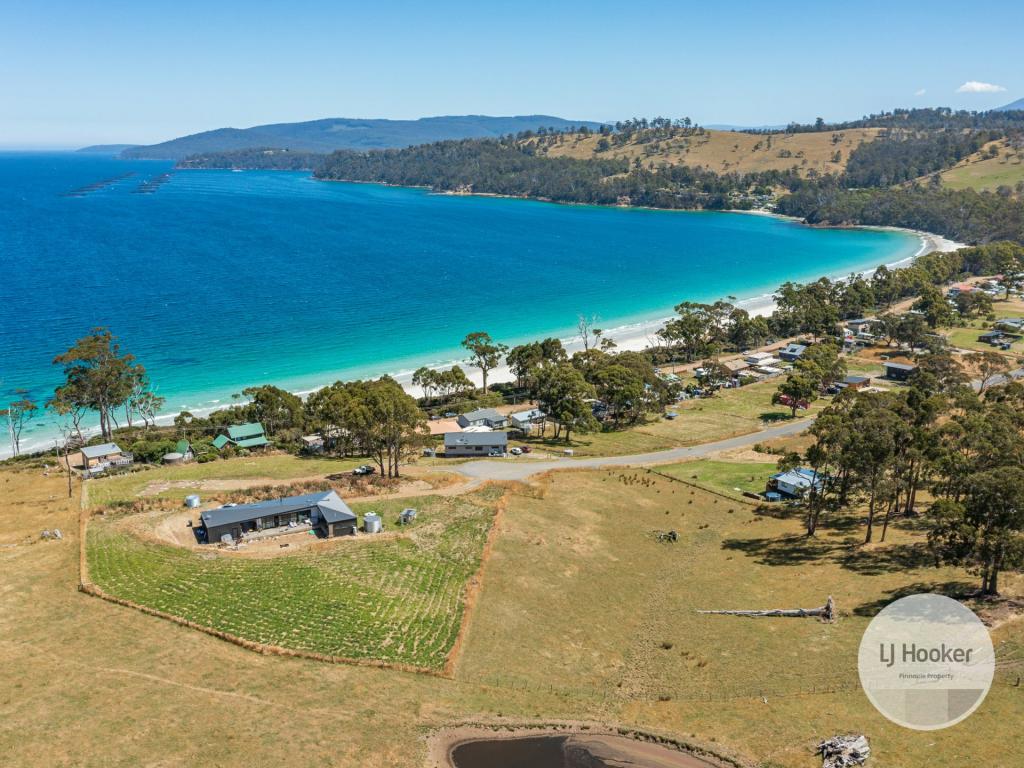 67 DUNN DR, SURVEYORS BAY, TAS 7116