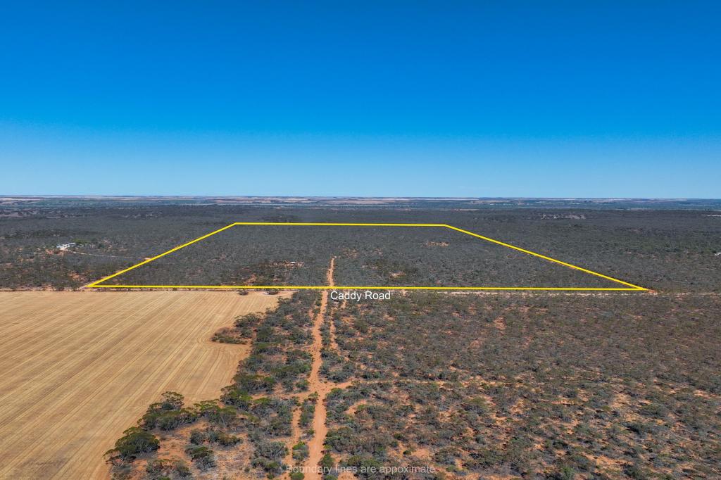 652 Caddy Rd, Loveday, SA 5345