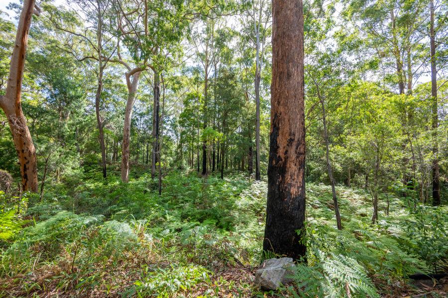1458 Sherwood Creek Rd, Sherwood, NSW 2450