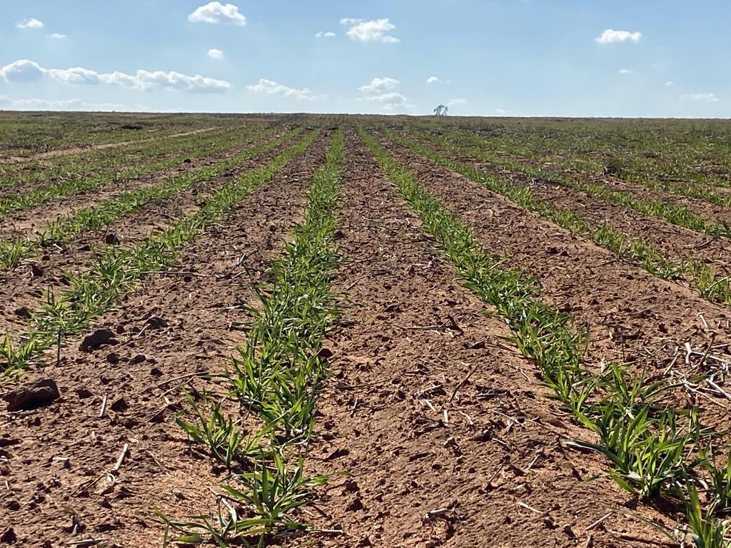 23060 Sturt Hwy, Yamba, SA 5340