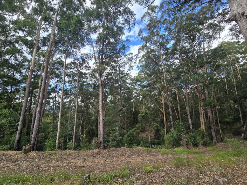 302 Kennaicle Creek Rd, Missabotti, NSW 2449