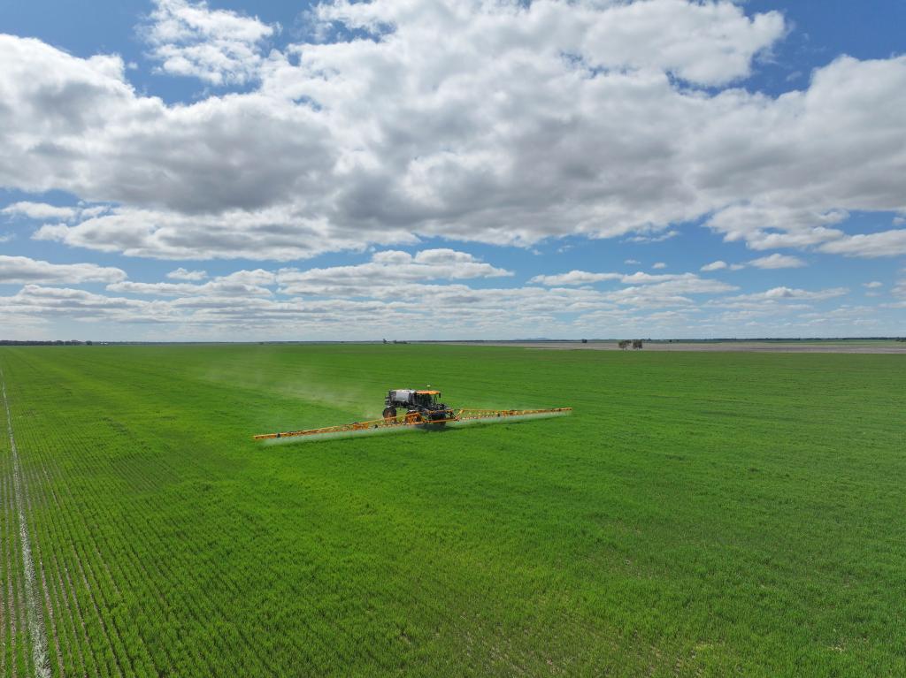 'Williams Crossing' 139 Harris Lane, Quandialla, NSW 2721