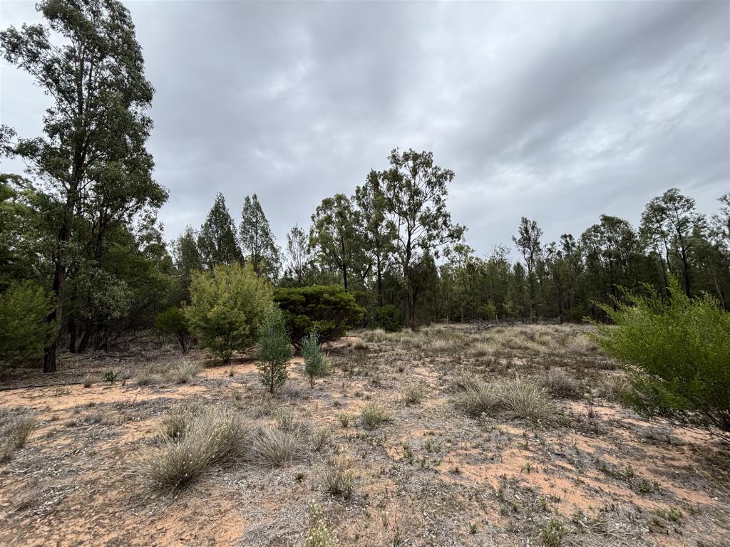 11987 Gore Hwy, Wattle Ridge, QLD 4357