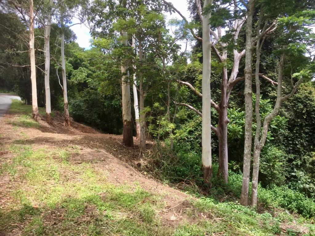 156 Freds Rd, Mount Pleasant, QLD 4521