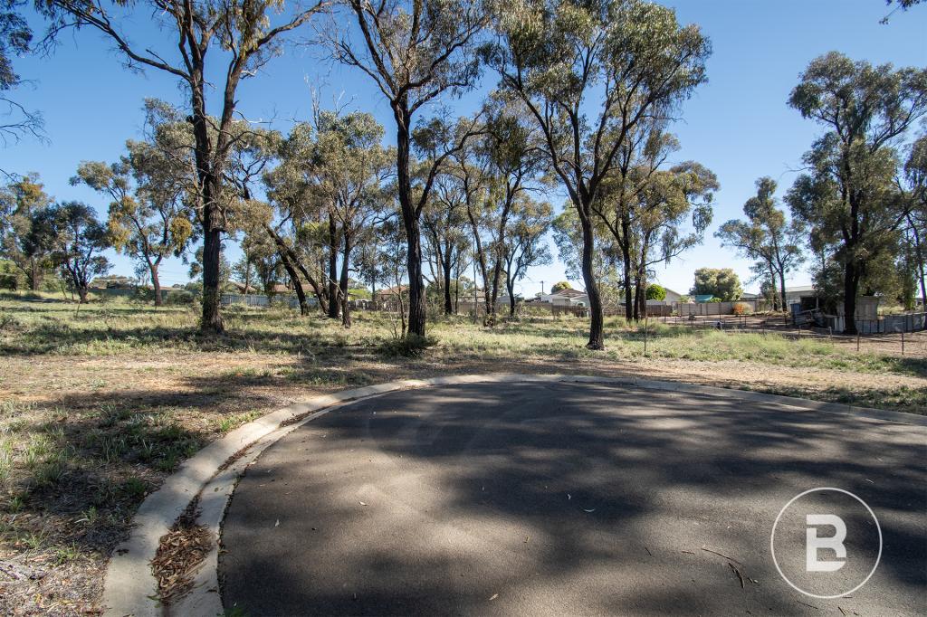 20 Mcpherson Ave, Maryborough, VIC 3465