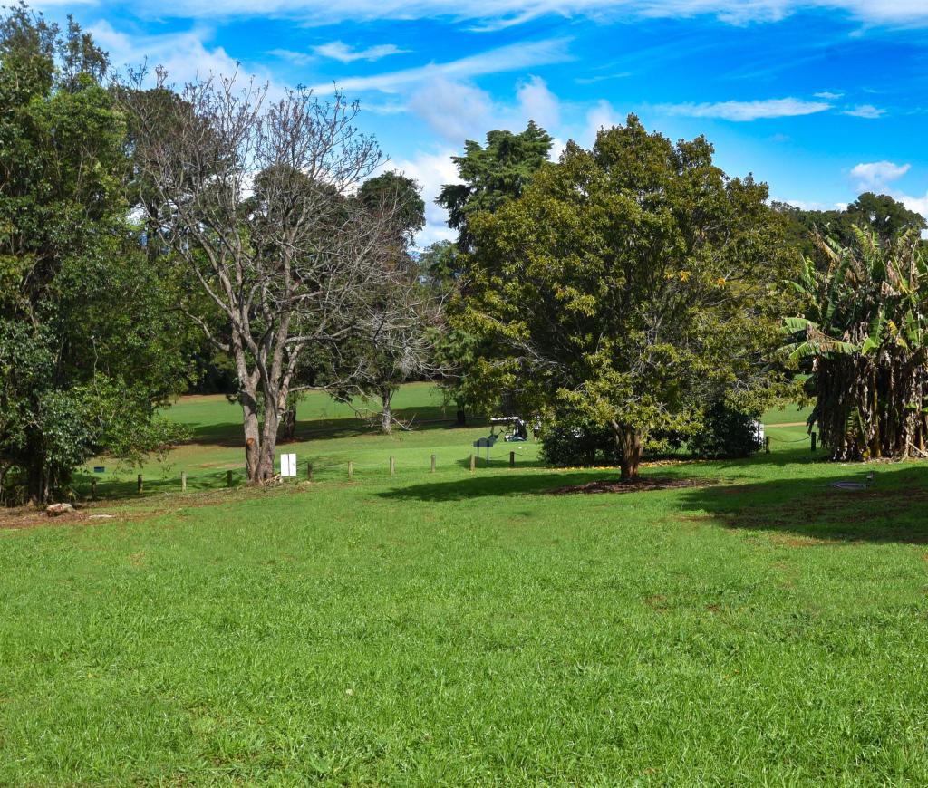 47 Pacific Pde, Tamborine Mountain, QLD 4272