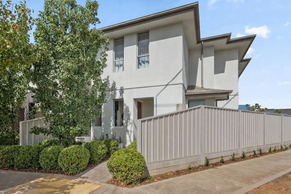 31 Urrbrae Tce, Plympton, SA 5038