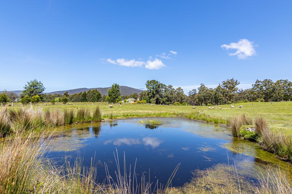 Contact Agent For Address, Raminea, TAS 7109