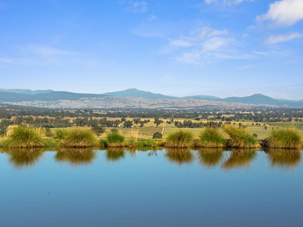 259 BLUE RANGE RD, BRIDGE CREEK, VIC 3723