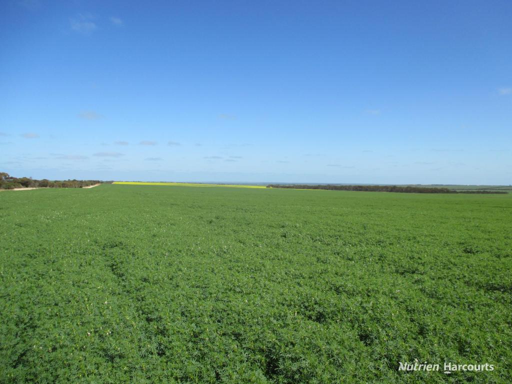 8717 Hyden-Lake King Rd, Varley, WA 6355