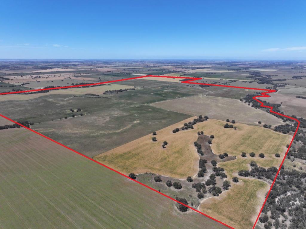  LODDON VALLEY HWY, JARKLIN, VIC 3517