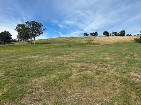 15 Bainbridge Way, Alexandra, VIC 3714