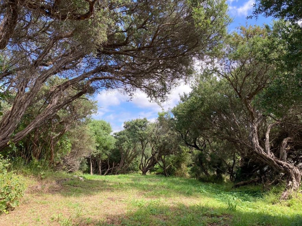 23 George St, Venus Bay, VIC 3956