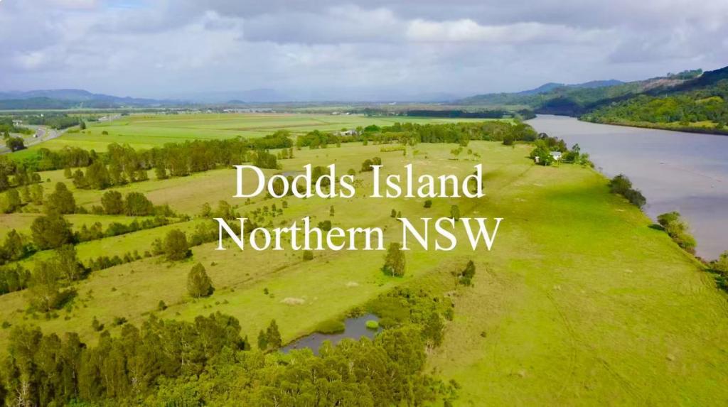 Tweed River Islands, Cudgen, NSW 2487