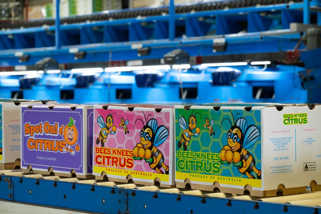 100 Sandersons Lane, Boynewood, QLD 4626