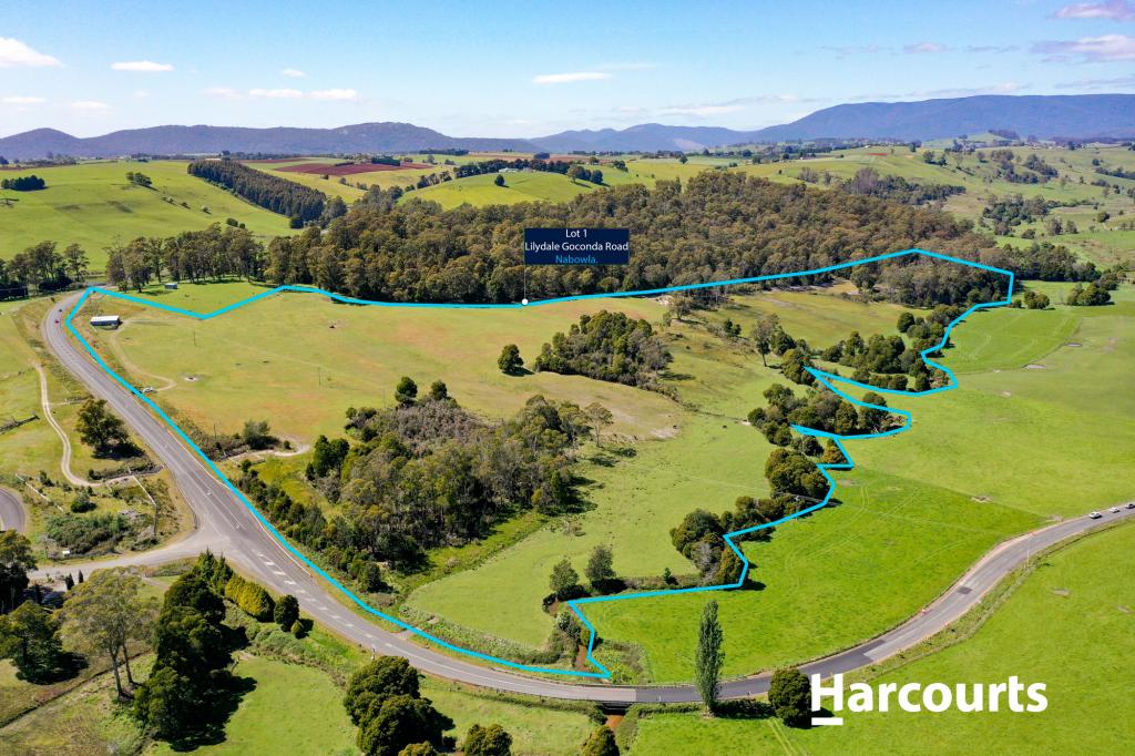 Lot 1 Golconda Rd, Lietinna, TAS 7260