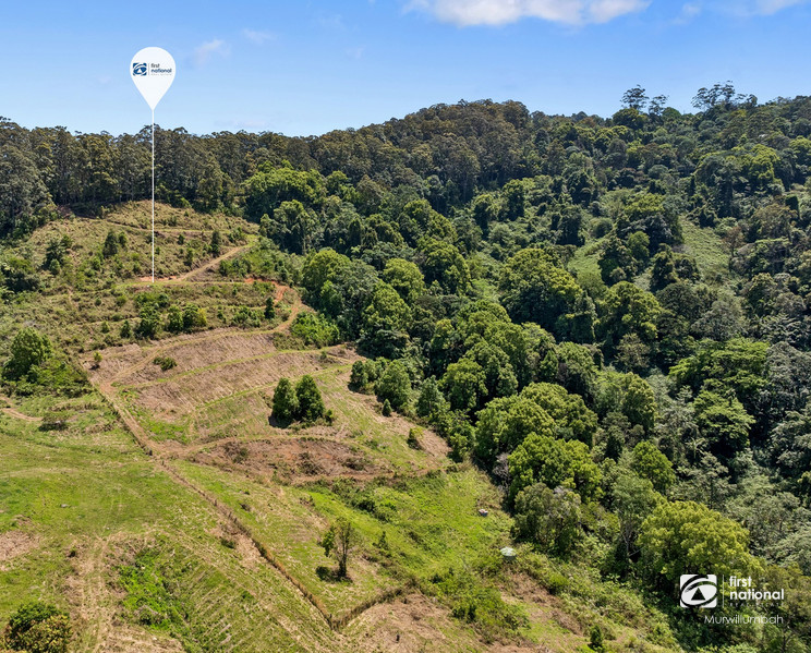 1157 Tomewin Rd, Tomewin, NSW 2484