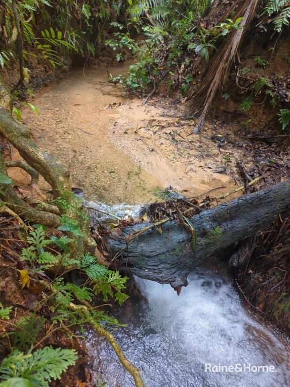 Lot 11 Milky Pine Road, Kimberley, Daintree, QLD 4873