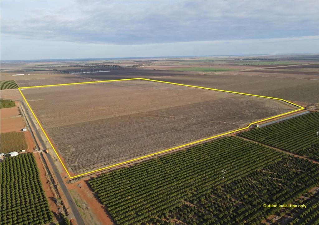 1802 Old Well Rd, Tharbogang, NSW 2680