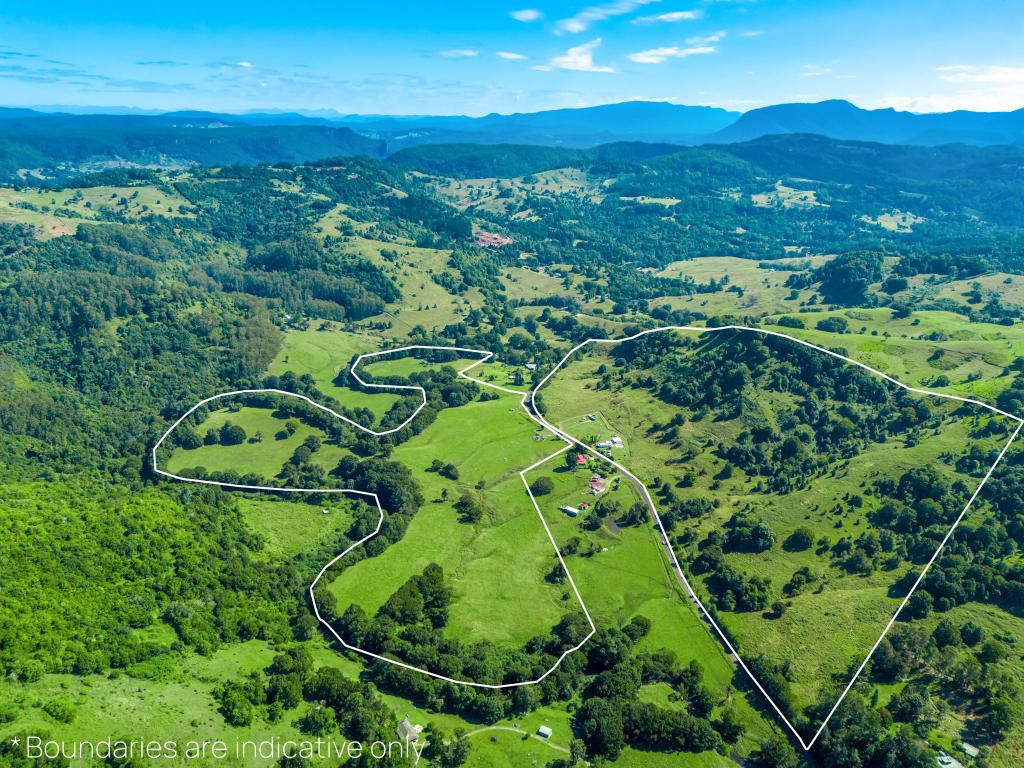 154 Tuntable Creek Rd, The Channon, NSW 2480