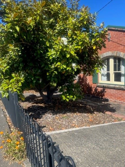 26 Seymour St, New Town, TAS 7008