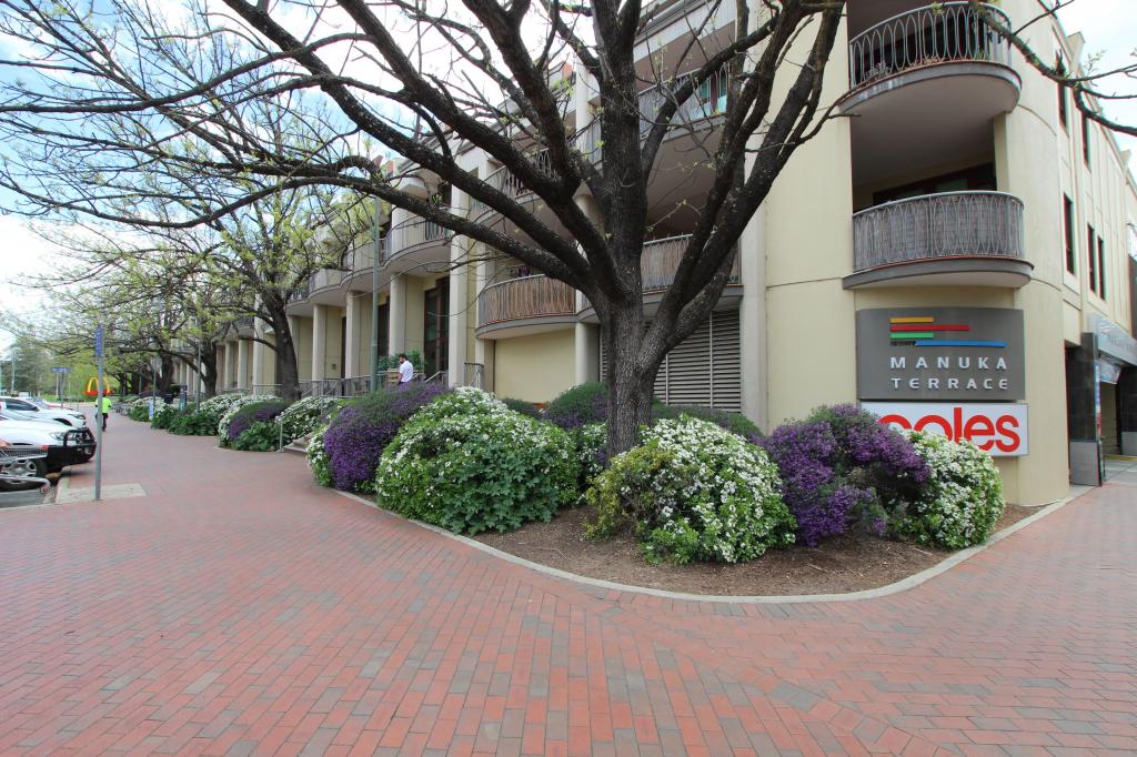 31/18 Captain Cook Cres, Griffith, ACT 2603