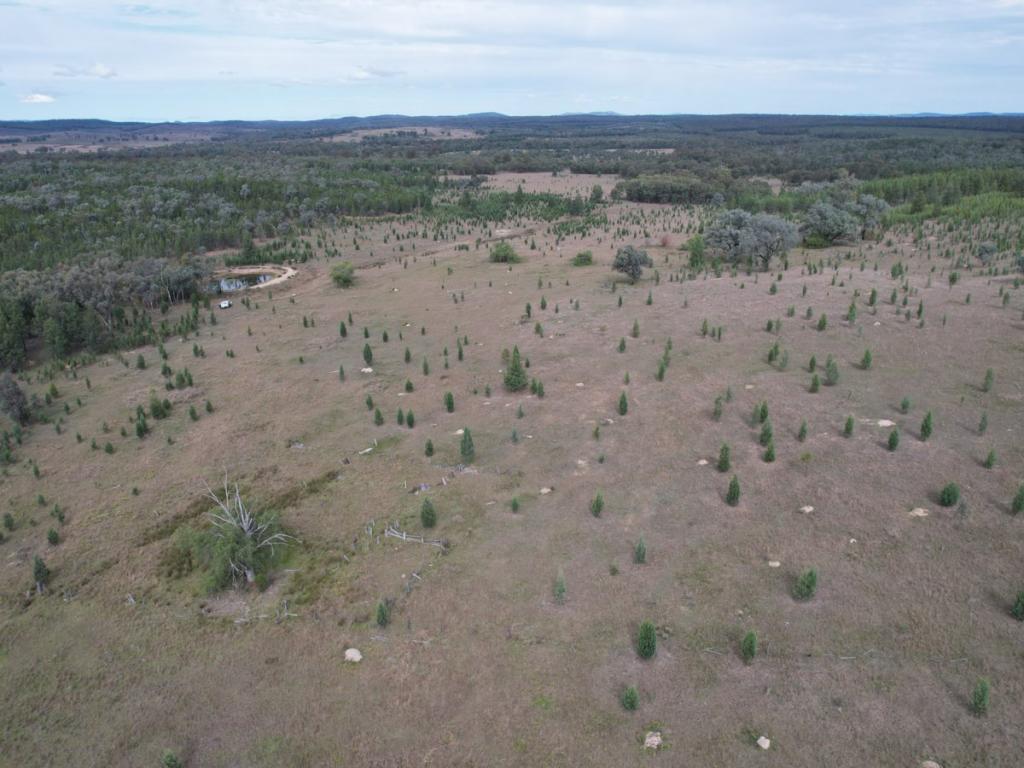 LOT 27 TIN HUT RD, GREENUP, QLD 4387